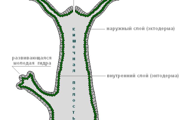 Как восстановить аккаунт на кракене даркнет