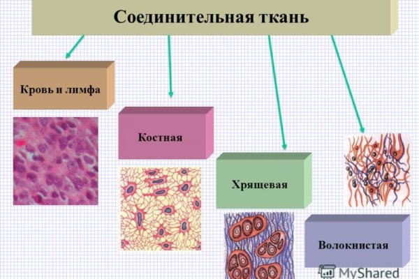 Рабочие ссылки kraken