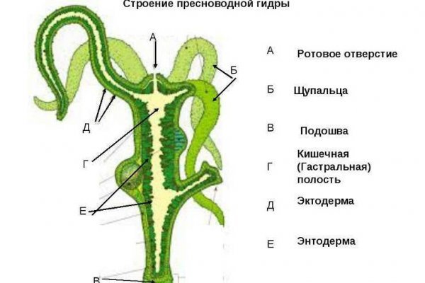 Как зайти на кракен без тора